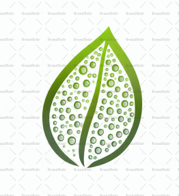 Tautropfen auf einem Blatt